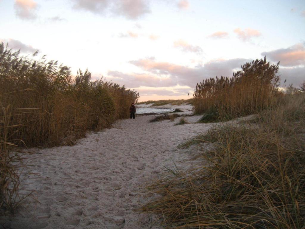 Hof Seebrookquelle Schlesen